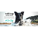 Wolf trap animal rescue