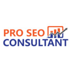 Pro Seo Consultant