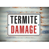 Main Street Termite Experts