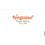 Flyingcolour Business setup