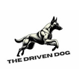 The Driven Dog