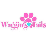 Wagging Tails Animal Daycare & Pet Spa | Cat & Dog Boarding CT