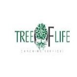 Tree Life Coaching Services