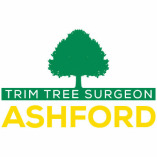 Trim Tree Surgeon Ashford