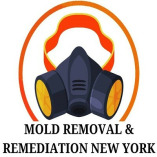 Mold Removal & Remediation New York - Bronx