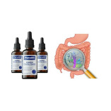 Para911 Parasites Cleanse Drops