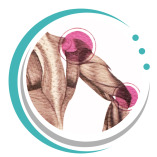 Lymphatic Specialties of Utah