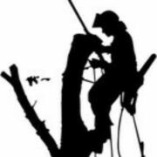 H&B Dienstleistungen logo