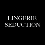 Lingerie Seduction