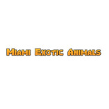 Miami Exotic Animals