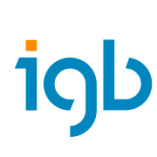 igb AG - Gesamtplaner für Industriebau & Sozialimmobilien logo