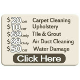 Steam Carpet Cleaning Dallas TX