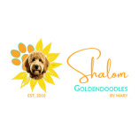 Shalom Golden Doodles