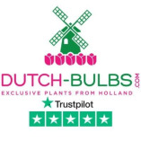DutchBulbs