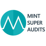 Mint Super Audits