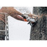 Hay Capital Tree Service