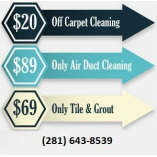 Spring TX Carpet Cleaning