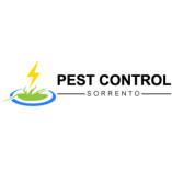 Pest Control Sorrento