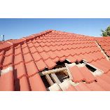 Ryno Roofing and Restoration