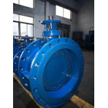 Double Offset Butterfly Valve Manufacturers in India