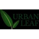 Urban Leaf