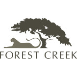 Forest Creek