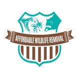 Affordable Wildlife Removal