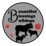 Bountiful Blessings Bulldogs