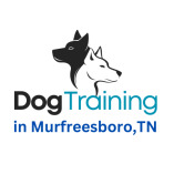 Sit Means Sit Dog Training Murfreesboro