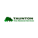 Taunton Tree Removal Services
