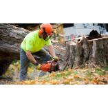 Beehive State Tree Service