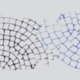 Kraus Pflasterbau GmbH & Co. KG logo