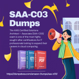 SAA-C03 Dumps