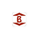 Brannys Gebäude- u. Industriereinigung GmbH & Co. KG logo