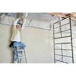 Brampton Mold Removal