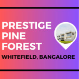 Prestige Pine Forest