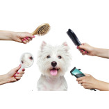 The Posh Paw-Hopkinton