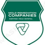 Castle Rock Mold Remediation Pros