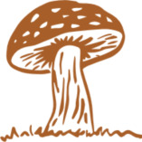 organicshroomcanada