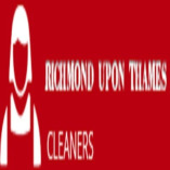 Richmond upon Thames Cleaners Ltd.