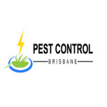 Pest Control Brisbane