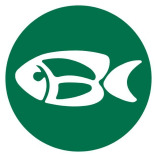 Carolina Bible Camp & Retreat Center