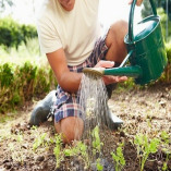 Garden Maintenance Pinner