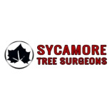 Sycamore Tree Surgeons