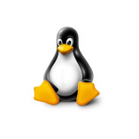 LinuxHostingIndia