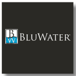 The BluWater Group