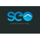 SEO Consulting