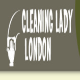 Cleaning Lady London Ltd