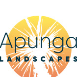 Apungalandscapes