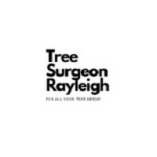 Tree Surgeon Rayleigh